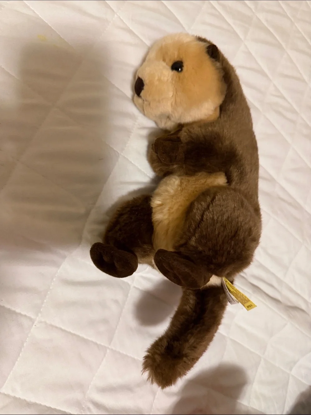 Plush Brown Otter Pet Toy - Soft Brown Small Pet Playmate